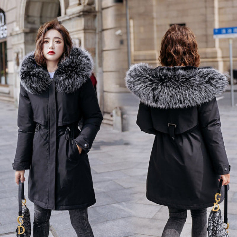 New Down And Cotton Jacket For Women In Winter