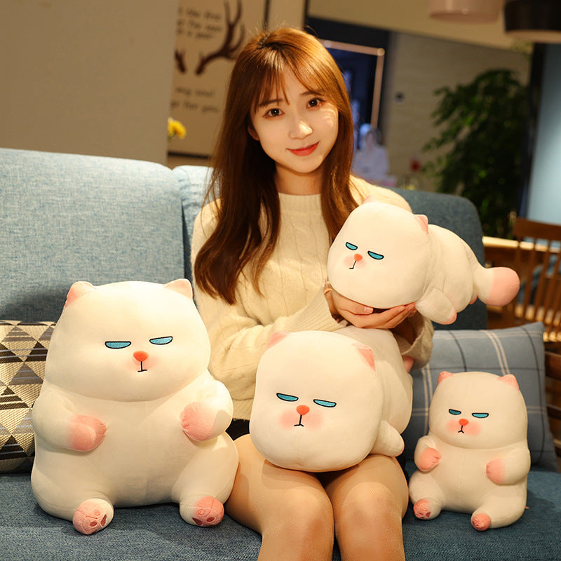 Cute Cat Dolls Plush Toys For Children