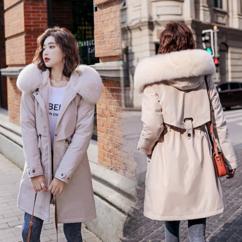 New Down And Cotton Jacket For Women In Winter