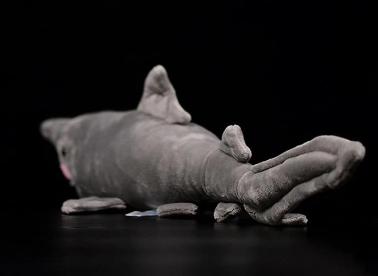 Shark Soft Stuffed Plush Toy