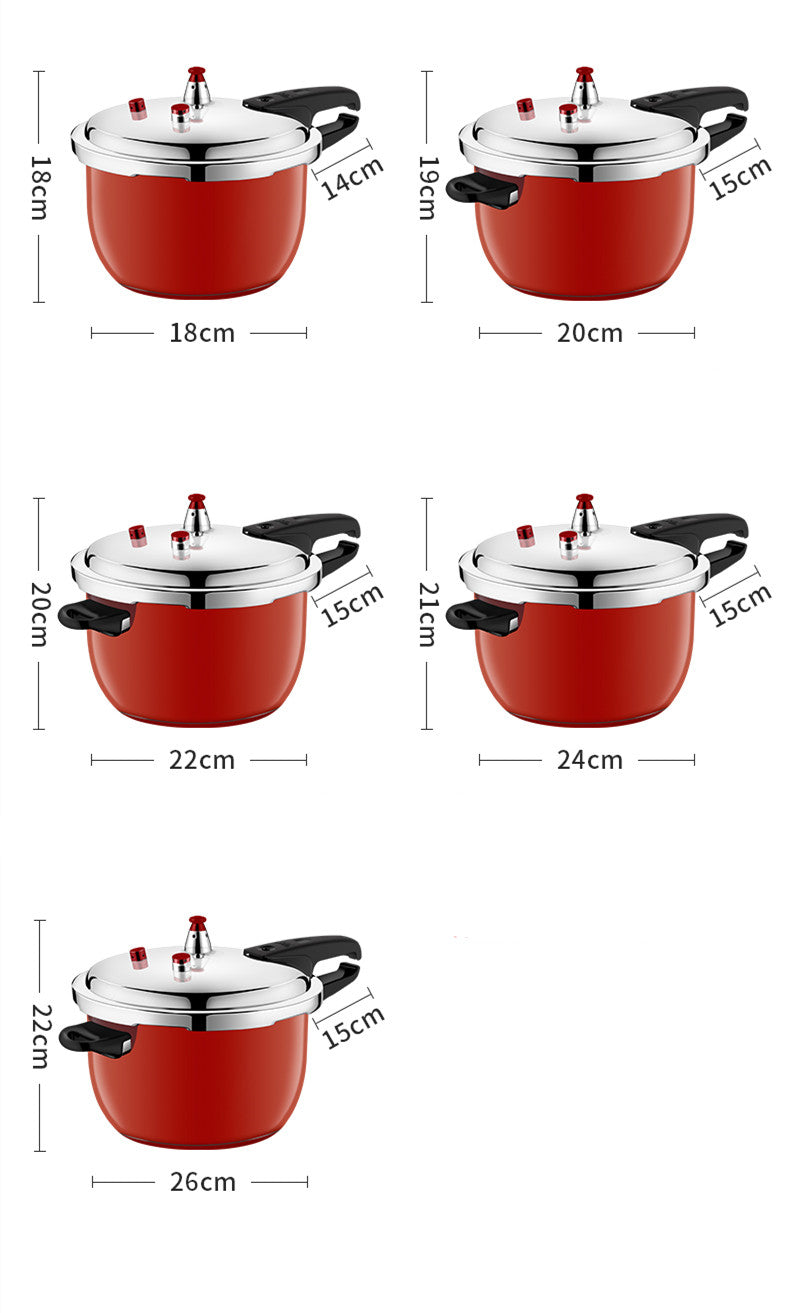 Pressure Cooker Stainless Steel Household Gas Induction Cooker